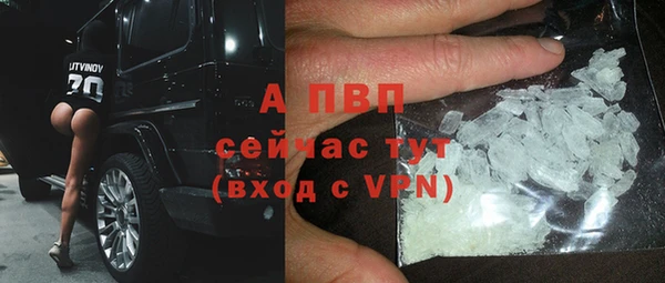 шишки Новозыбков