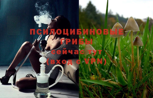 гидропоника Новодвинск