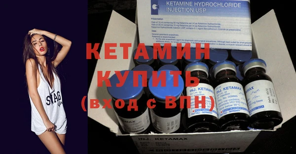 шишки Новозыбков